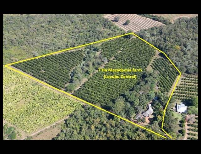 FARM FOR SALE IN LEVUBU